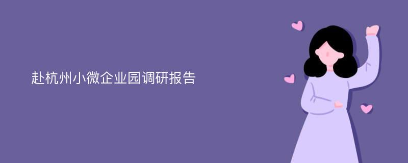 赴杭州小微企业园调研报告