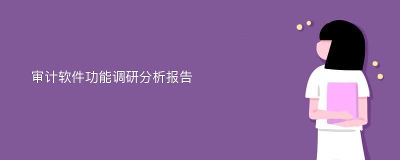 审计软件功能调研分析报告