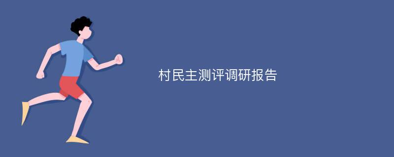 村民主测评调研报告