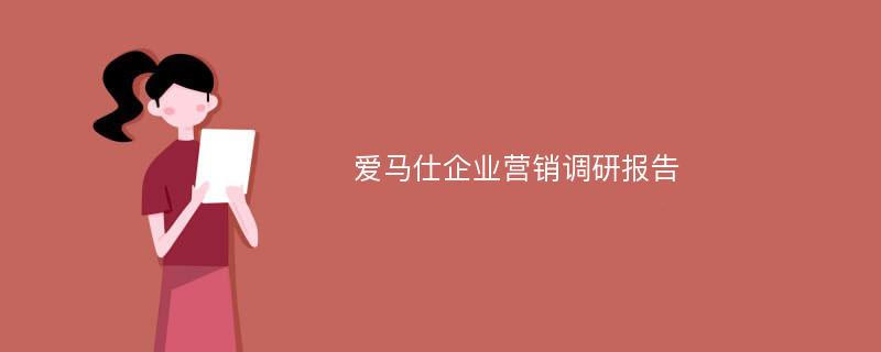 爱马仕企业营销调研报告