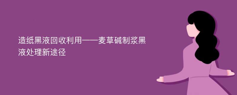 造纸黑液回收利用——麦草碱制浆黑液处理新途径