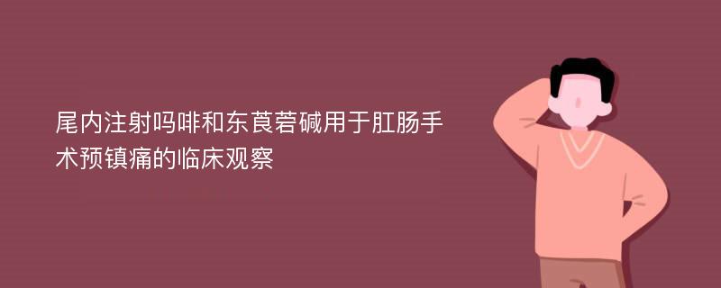 尾内注射吗啡和东莨菪碱用于肛肠手术预镇痛的临床观察