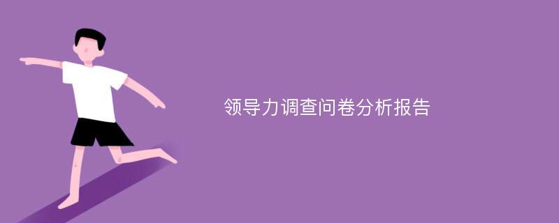 领导力调查问卷分析报告