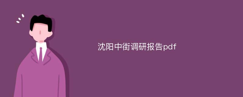 沈阳中街调研报告pdf