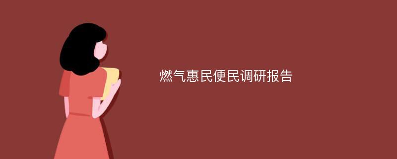 燃气惠民便民调研报告