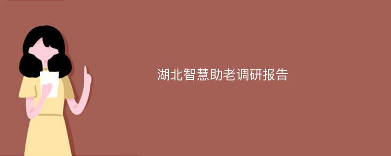 湖北智慧助老调研报告