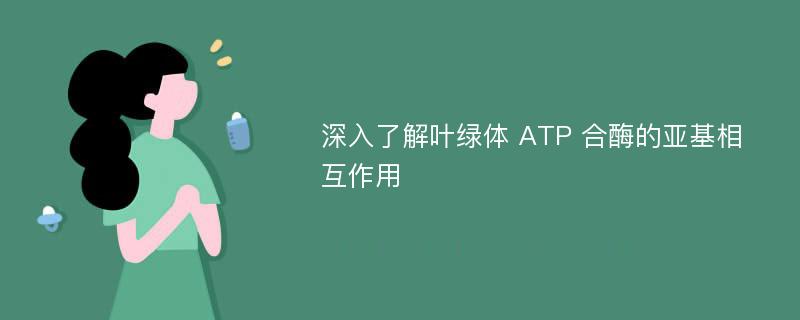 深入了解叶绿体 ATP 合酶的亚基相互作用