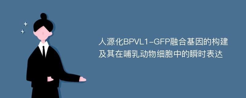 人源化BPVL1-GFP融合基因的构建及其在哺乳动物细胞中的瞬时表达