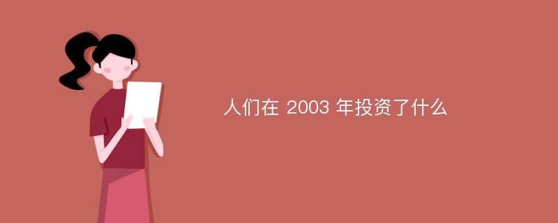 人们在 2003 年投资了什么