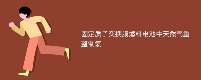 固定质子交换膜燃料电池中天然气重整制氢