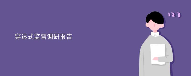 穿透式监督调研报告