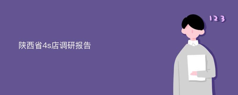 陕西省4s店调研报告