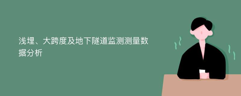 浅埋、大跨度及地下隧道监测测量数据分析