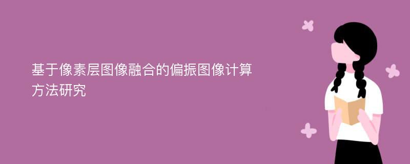 基于像素层图像融合的偏振图像计算方法研究