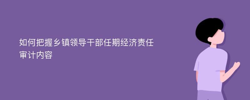 如何把握乡镇领导干部任期经济责任审计内容