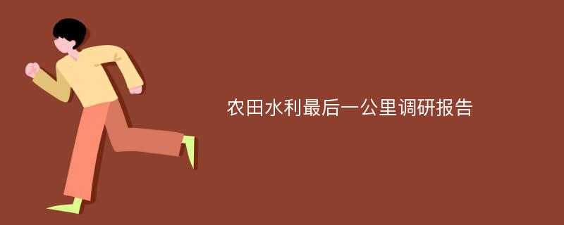 农田水利最后一公里调研报告